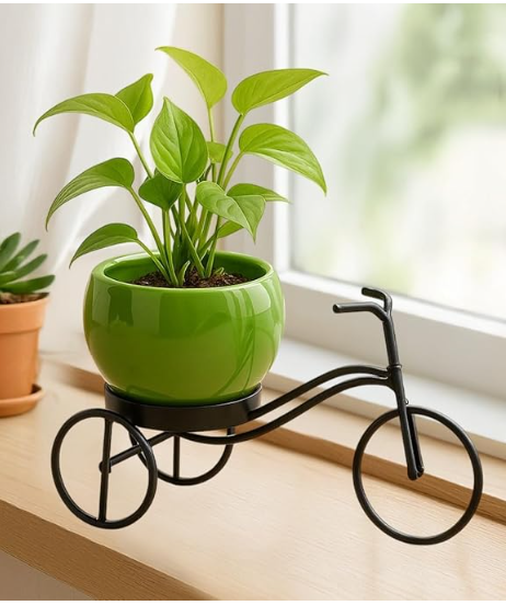 Cycle-Shaped Metal Plant Stand for Indoor & Outdoor Use, Metal Cycle Flower Vase, Decorative Iron Planter Pot Holder for Flowers & Ornaments (24 x 11 x 11cm)